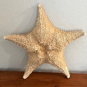 Vintage Reticulated Jumbo  13 inch  Starfish Decor Collectors Pieces